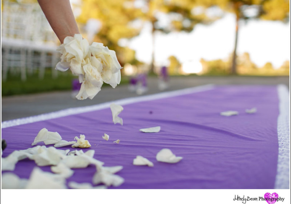 The purple carpet of the Spanish Trail Country Club Wedding Venue